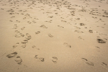 Fototapeta na wymiar Footprints and soles in the sand. Leave a mark. Walk along the beach in the fresh air. Intricate footprints. Human steps. Crossing the road. Trajectory of movement. Confused in life. Choose a path.