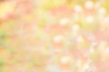 Spring summer tender postcard. drops of dew. Design element.gold and pink abstract bokeh lights. defocused background