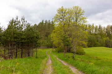 country gravel road in the countryside