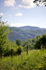Fototapeta premium Paysage campagne