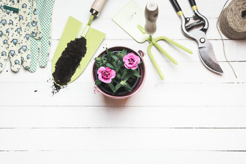 Composition with flowers and gardening tools