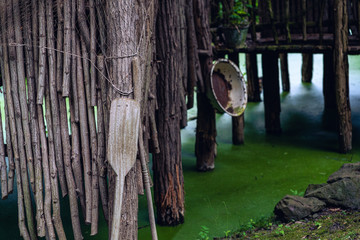 Lake with mangrove trees in Boracay island, Philippines