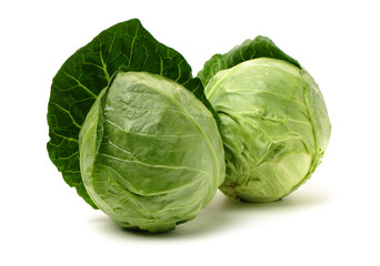 cabbage on white background
