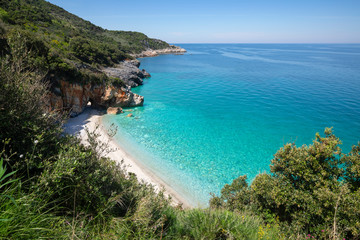 Fototapeta na wymiar Beautiful beach with turquoise water in Pilion, Greece