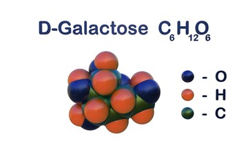 Structural chemical formula and space-filling molecular model of d-galactose, an optical isomer of glucose. 3d illustration
