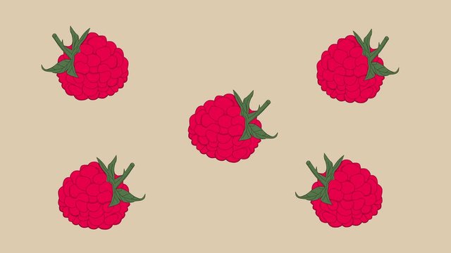 Fresh pink red dancing raspberry background. Funny clip. Hand drawn animation.