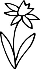 vector illustration of a lily