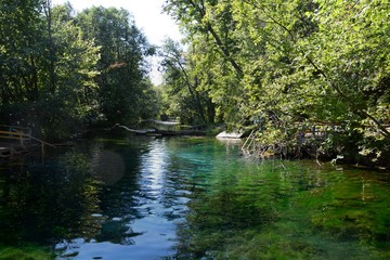 Fototapeta na wymiar lake in the forest