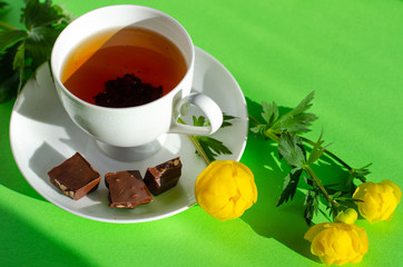 A Cup of black tea, pieces of chocolate and yellow flowers of the Trollius europaeus on a green background. Sunny, bright, shadows fall from the window. Chocolate day and morning tea ceremony.