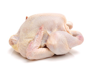 raw hen on a white background