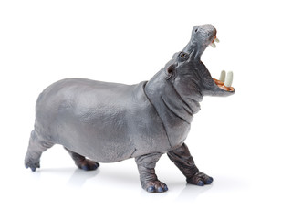 Toy hippopotamus isolated on white background