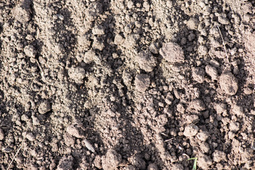 field before planting. texture of the earth.