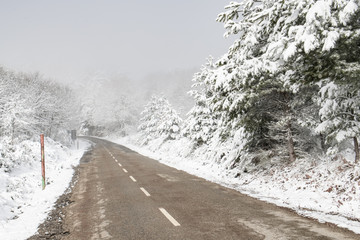 The main pilgrimage route to Santiago