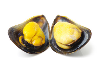 mussels isolated on white background