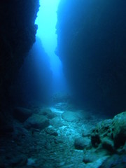 Naklejka na ściany i meble underwater view of a coral reef