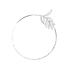 Round frame with olive branch. Isolated on white background. Hand drawn.