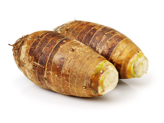 Taro on a white background