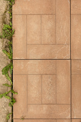 a fragment of beige-brown paving slabs with grass growing between the tiles