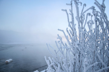 frosty morning on the lake