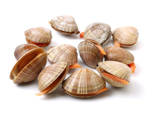 Stacked fresh raw clams on white background