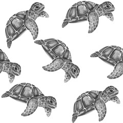 Fototapeta premium Aquarelle painting of turtle sketch art pattern illustration