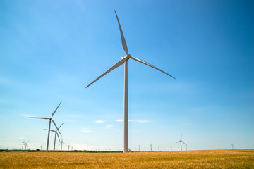Fototapeta premium wind turbine in the field