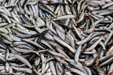 fresh sea fish on the counter at the market. street trade products