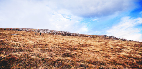 panoramic view of nature mountain winter landscape