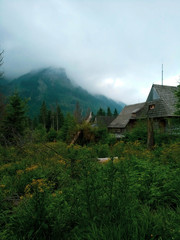 Old house in mountains in summer. Tatry, Poland