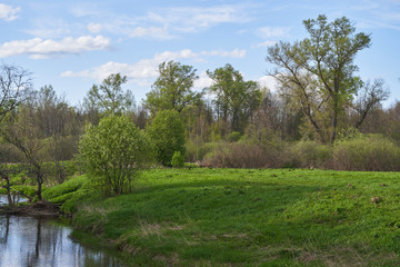 Fototapeta premium A winding river with steep banks, grass and trees