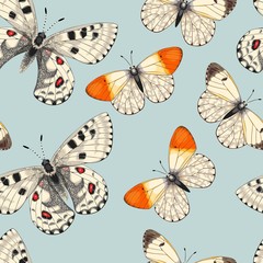 Vector pattern with high detailed vivid butterfly