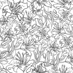 Obraz premium Lily flower, bubs and leaves. Free hand drawing by contour. Outline black-white seamless sketch in doodle style with solid fill background. Contemporary Home textile, wallpaper, interior fabric.