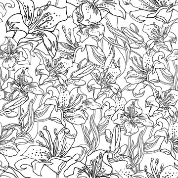 Lily flower, bubs and leaves. Free hand drawing by contour. Outline black-white seamless sketch in doodle style with solid fill background. Contemporary Home textile, wallpaper, interior fabric.