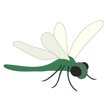 vector, isolated, dragonfly flies, insect on a white background