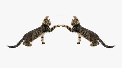 Low poly illustration of a kitten touching its mirrored self.