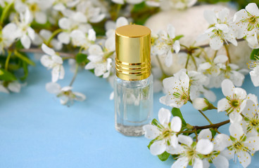 Springtime aromatherapy concept with essential oil or perfume bottle over blossom on blue background. Spa luxury cosmetic and beauty blogging. Valentines day, Mothers day or wedding greeting card.