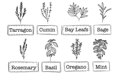 8 Dried Herbs You Must Have in Your Kitchen