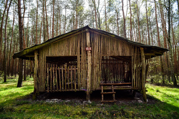Fototapeta na wymiar A shed in the woods. A shed in the woods.