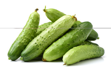 Green cucumber on the white background