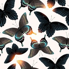 Vector pattern with high detailed black butterfly