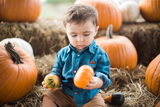 little boy with pumpkin in southern hill farms in central florida clermont 