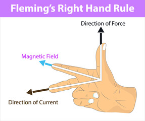 Physics - fleming's right hand rule. magnetic field. direction of current. direction of force. current by direction of magnetic field and force. Fleming's Right Rule infographic