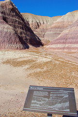 Interpretive Sign, Blue Mesa Loop Trail, Petrified Forest National Park, Arizona