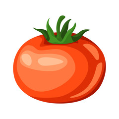 Illustration of red ripe tomato.