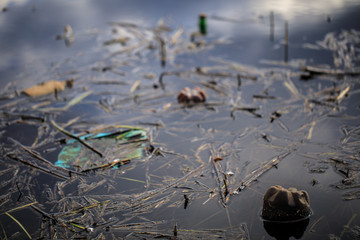plastic garbage and waste pollute nature, a reservoir with plastic bottles, ecological disaster, the death of the planet from pollution
