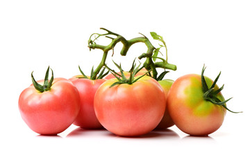 tomato on white background