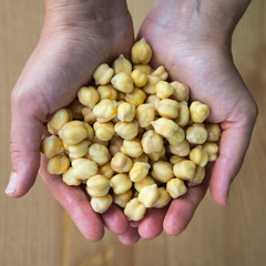 Chickpeas in woman's hands, top view