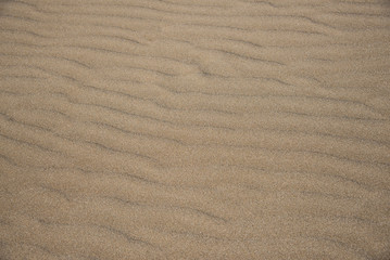 Sandy beach background with lines