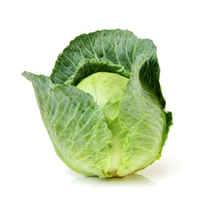 cabbage on white background
