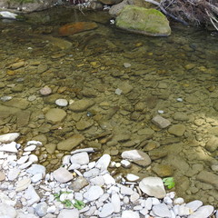 water and stones